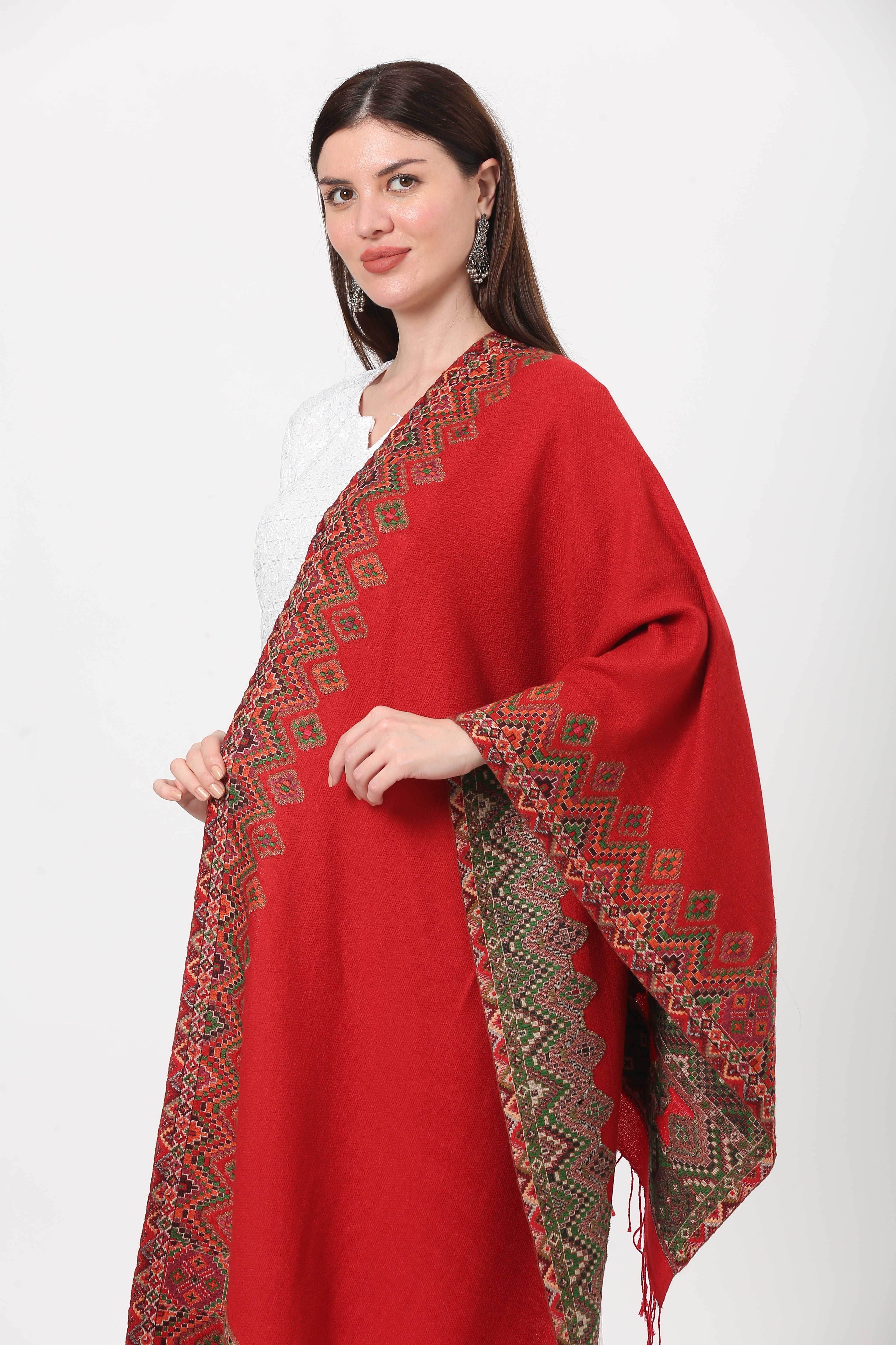 ladakhi pashmina stole