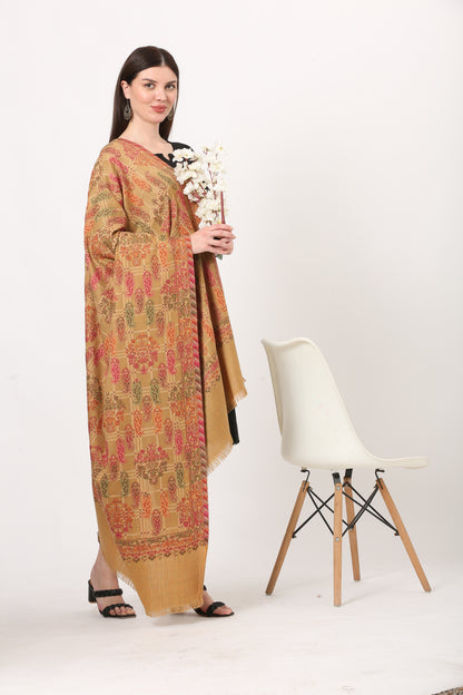 fine woolen kani weave shawl